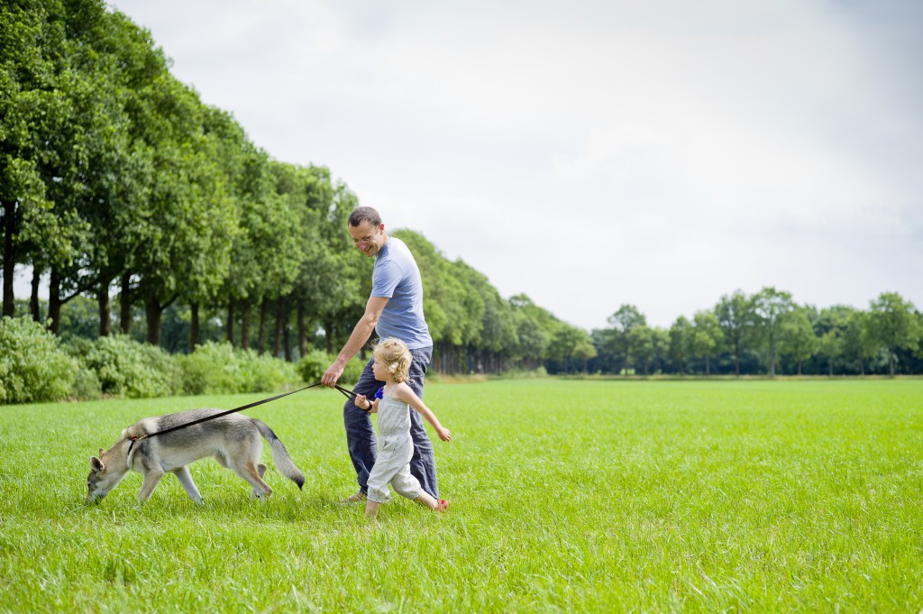 My friend and his niece, walking the dog. Perfect job for a 50 summicron.