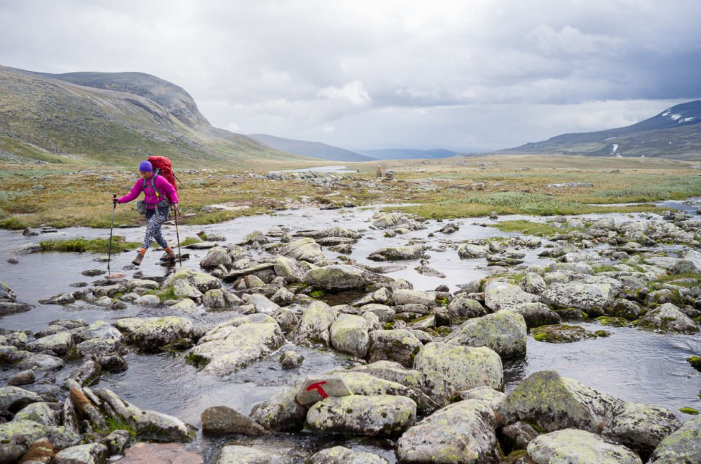 On our way in Dovrefjell, Norway