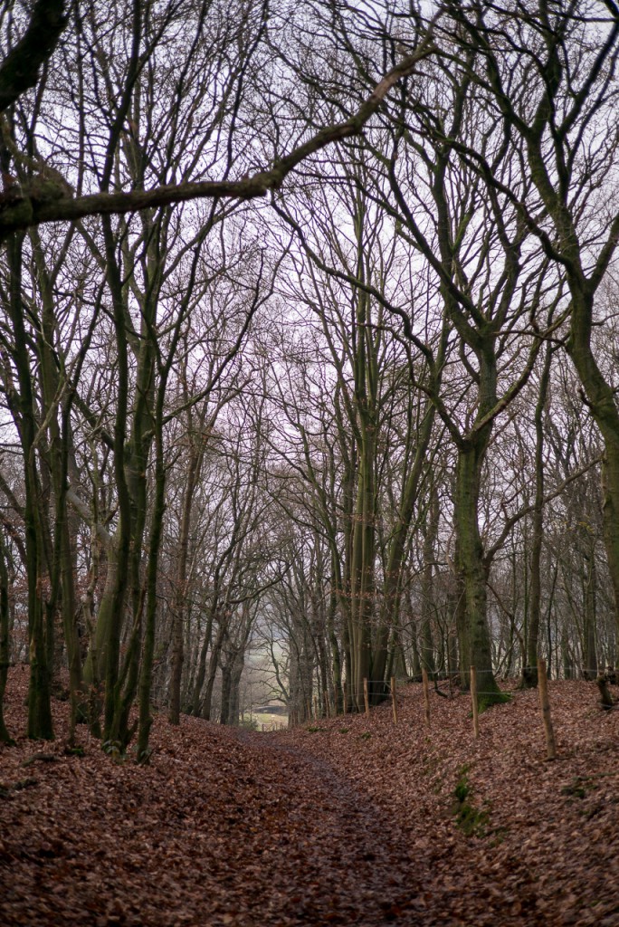 There is some purple fringing in the branches against the sky, but that's not special, nor hard to get rid of.