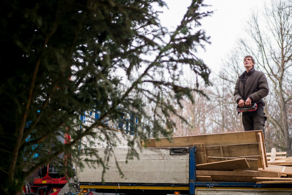 Setting up a big, big Christmas tree. A 75mm gives a little extra reach over a 50mm.