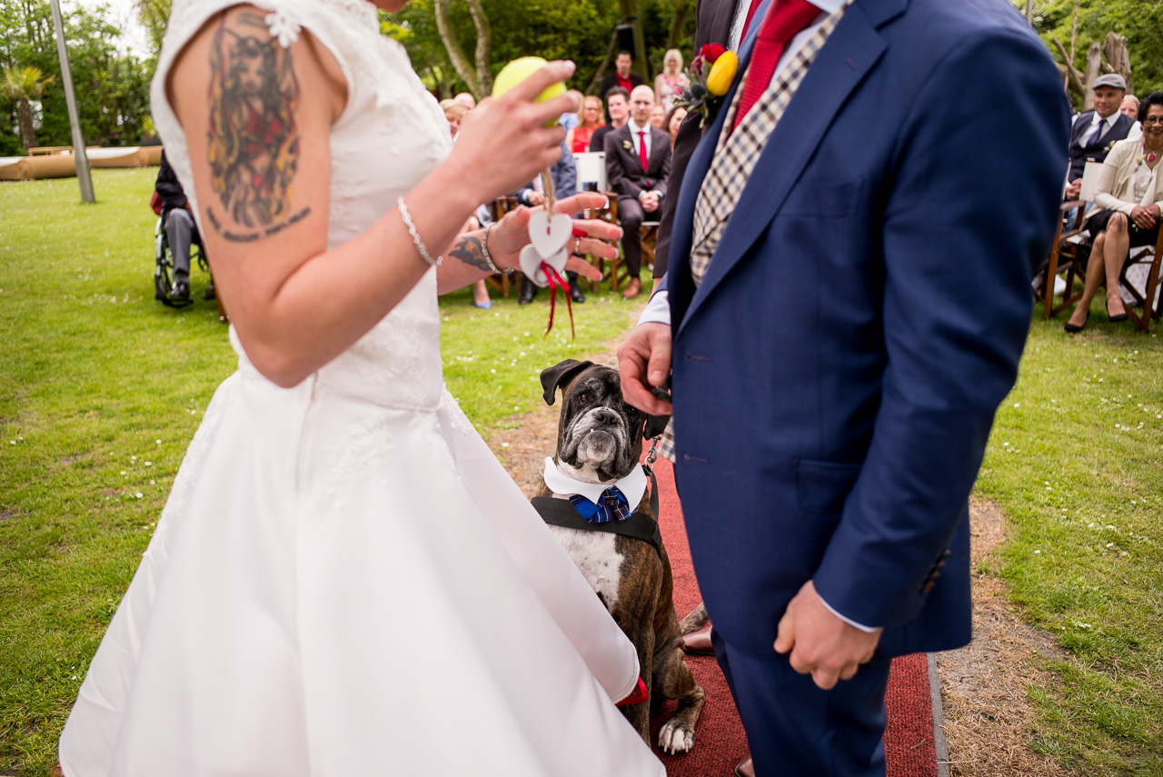 Wednesday wedding pic: the coolest ring bearer ever